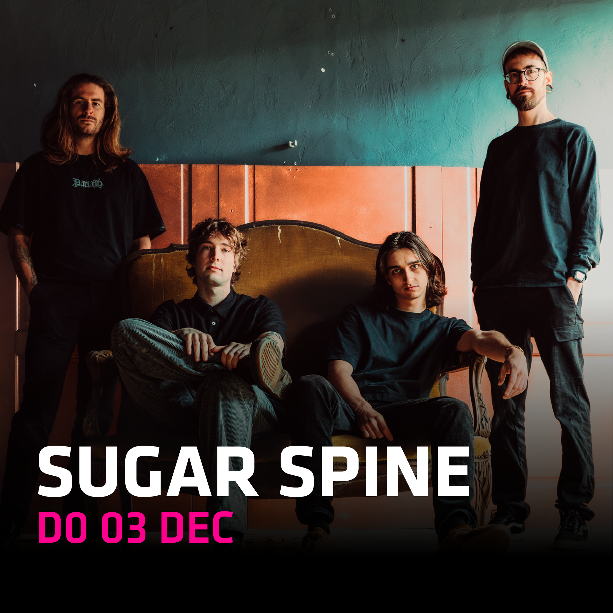 SUGAR SPINGE IN HEDON