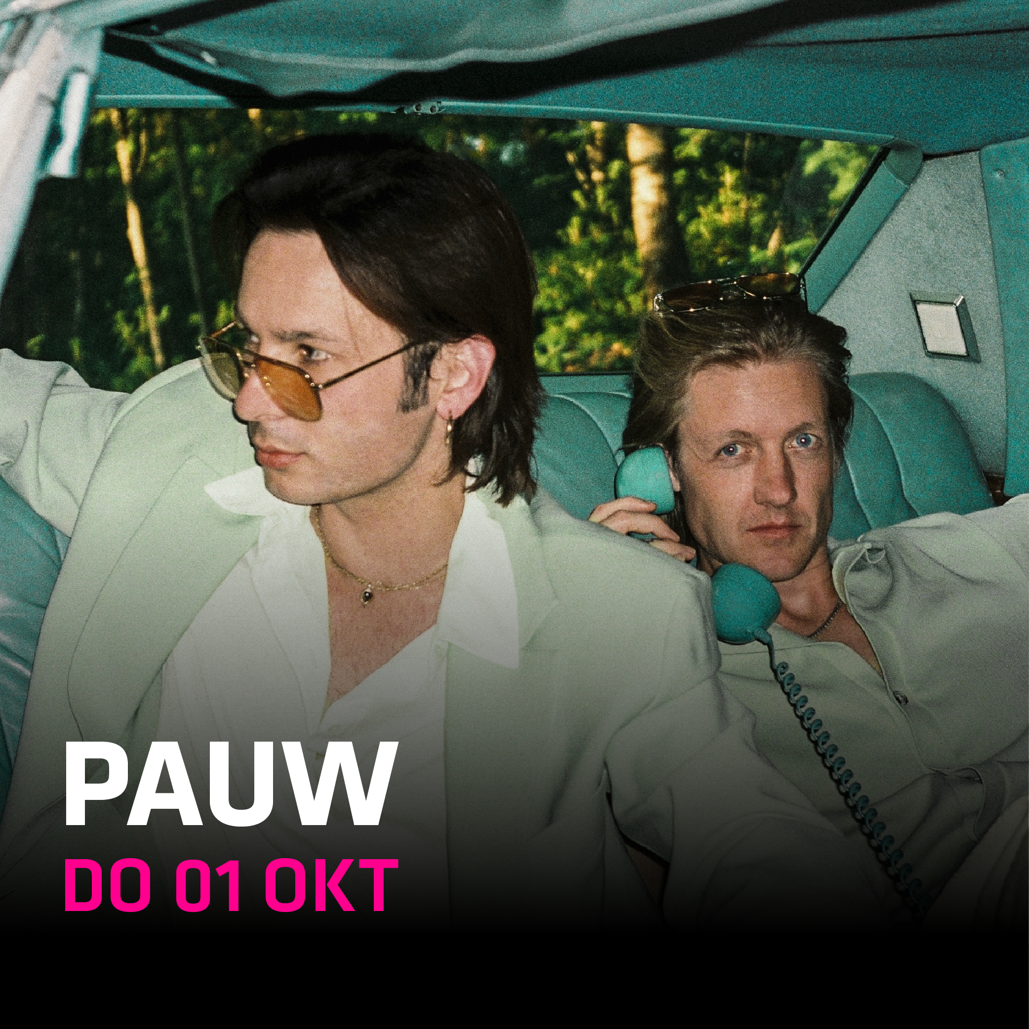 Pauw in Hedon