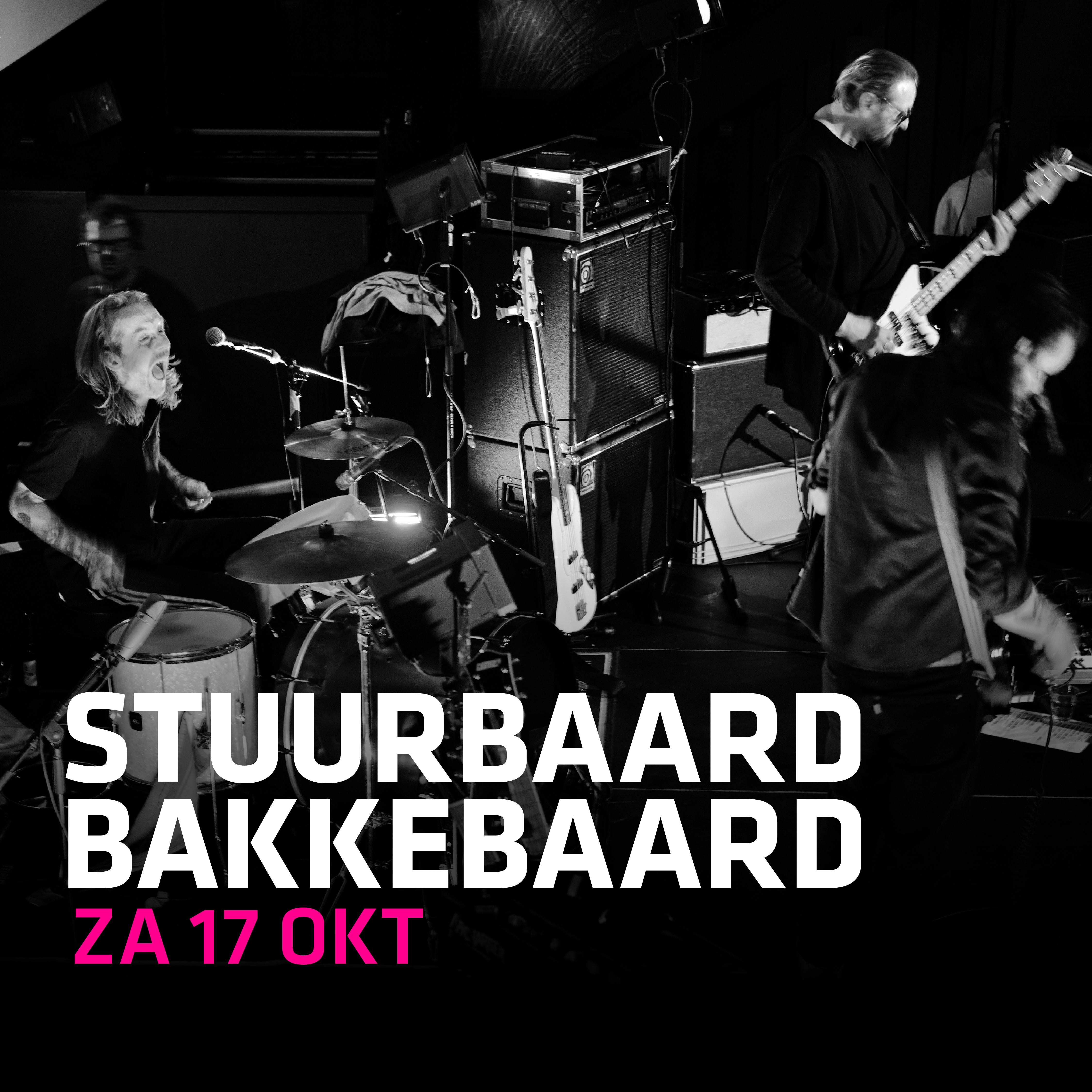 Stuurbaard Bakkebaard in Hedon