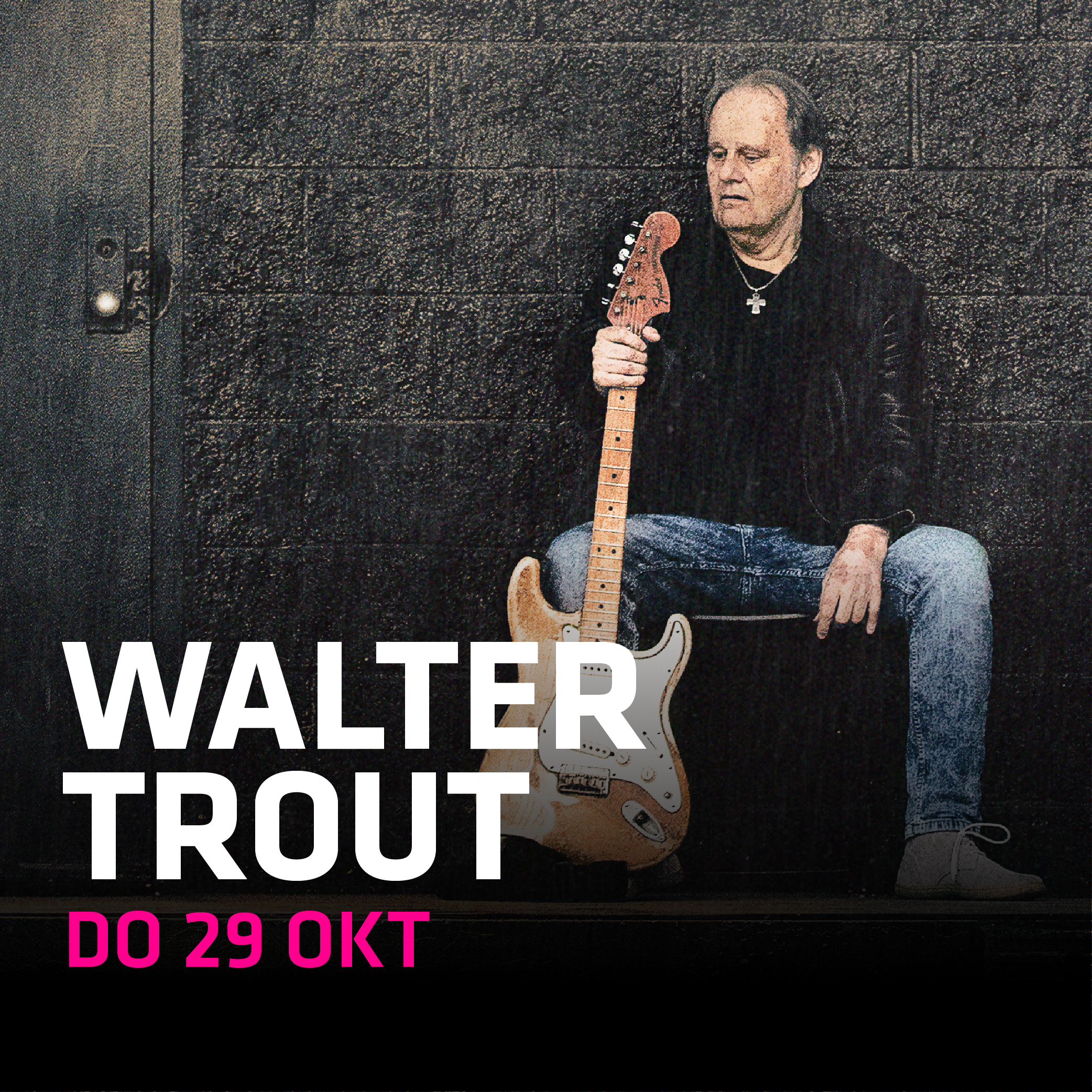 Walter Trout in Hedon