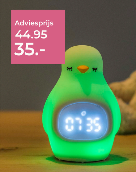 Slaaptrainer Pinguin 